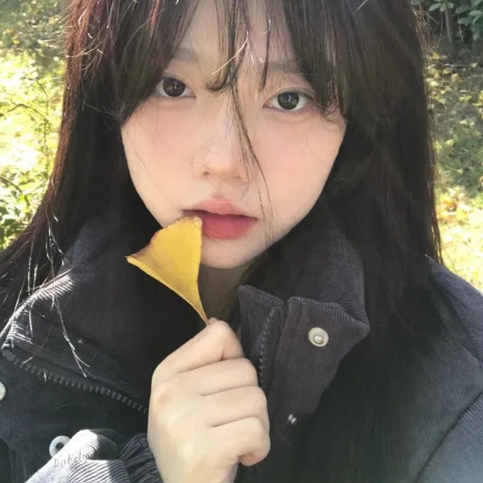 女王鲨